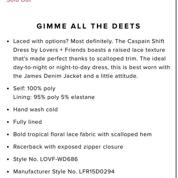 Lovers + Friends Caspian Lace Shift Dress - Picture 3 of 7